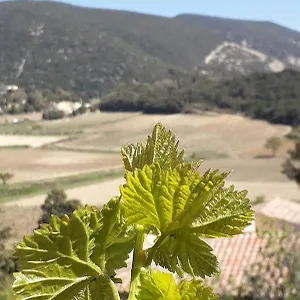 Eco Dans Les Vignes , Rousset-les-Vignes France